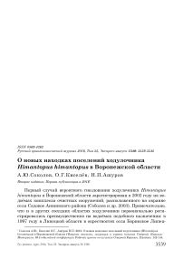 О новых находках поселений ходулочника Himantopus himantopus в Воронежской области