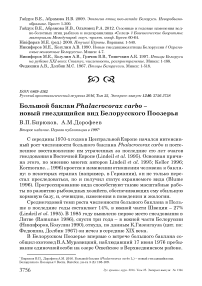 Большой баклан Phalacrocorax carbo - новый гнездящийся вид Белорусского Поозерья