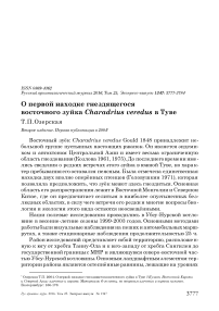 О первой находке гнездящегося восточного зуйка Charadrius veredus в Туве