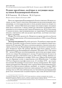 Редкие пролётные, залётные и летующие виды куликов Владимирской области