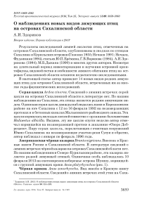 О наблюдениях новых видов зимующих птиц на островах Сахалинской области