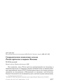 Спорадическое появление осоеда Pernis apivorus в парках Москвы