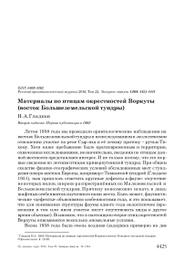 Материалы по птицам окрестностей Воркуты (восток Большеземельской тундры)