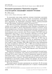 Большой кроншнеп Numenius arquata в культурном ландшафте южной Эстонии