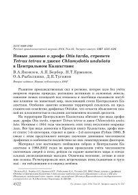 Новые данные о дрофе Otis tarda, стрепете Tetrax tetrax и джеке Chlamydotis undulata в Центральном Казахстане