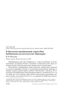 К биологии ошейниковой совки Otus bakkamoena на юго-востоке Приморья