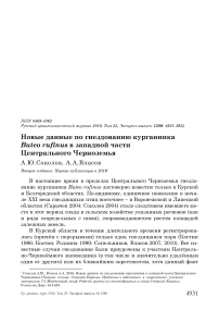 Новые данные по гнездованию курганника Buteo rufinus в западной части Центрального Черноземья