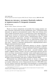 Выход из гнезда у лугового Saxicola rubetra и черноголового S. torquata чеканов