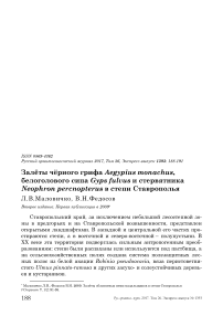 Залёты чёрного грифа Aegypius monachus, белоголового сипа Gyps fulvus и стервятника Neophron percnopterus в степи Ставрополья