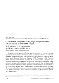 О встречах кедровки Nucifraga caryocatactes в Калмыкии в 2008-2009 годах