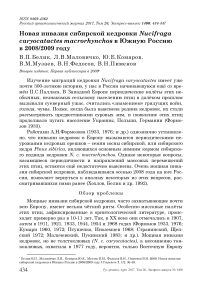 Новая инвазия сибирской кедровки Nucifraga caryocatactes macrorhynchos в южную Россию в 2008/2009 году