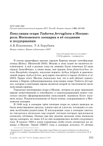 Популяция огаря Tadorna ferruginea в Москве: роль московского зоопарка в её создании и поддержании