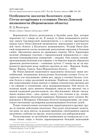 Особенности экологии болотного луня Circus aeruginosus в условиях Окско-Донской низменности (Воронежская область)