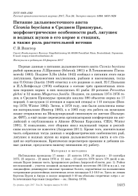 Питание дальневосточного аиста Ciconia boyciana в Среднем Приамурье, морфометрические особенности рыб, лягушек и водных жуков в его корме и стациях, а также роль растительной ветоши