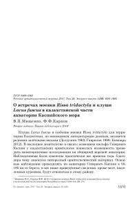 О встречах моевки Rissa tridactyla и клуши Larus fuscus в казахстанской части акватории Каспийского моря