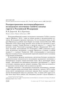 Распространение восточносибирского исландского песочника Calidris canutus rogersi в Российской Федерации