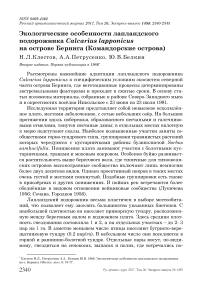 Экологические особенности лапландского подорожника Calcarius lapponicus на острове Беринга (Командорские острова)