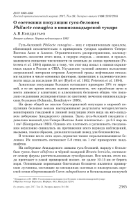 О состоянии популяции гуся-белошея Philacte canagica в Нижнеанадырской тундре