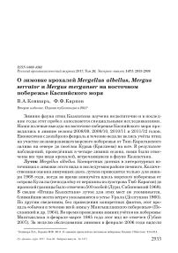 О зимовке крохалей Mergellus albellus, Mergus serrator и Mergus merganser на восточном побережье Каспийского моря