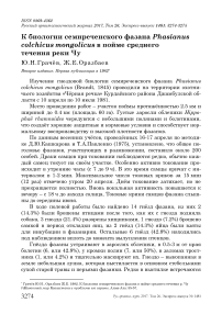 К биологии семиреченского фазана Phasianus colchicus mongolicus в пойме среднего течения реки Чу