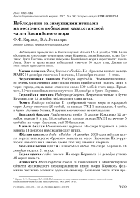 Наблюдения за зимующими птицами на восточном побережье казахстанской части Каспийского моря