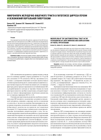 Микрофлора желудочно-кишечного тракта в патогенезе цирроза печени и осложнений портальной гипертензии