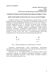 О многосортности потоков в квазиклеточных сетях