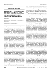 Вариантность интерпретации палеонтологических нанообъектов при исследованиях методами сканирующей электронной микроскопии