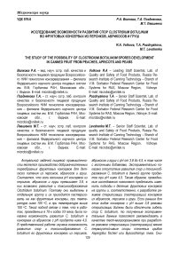 Исследование возможности развития спор Clostridium botulinum во фруктовых консервах из персиков, абрикосов и груш