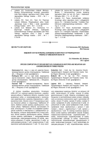 Видовой состав жужелиц (Carabidae) в биотопах и агробиоценозах рябины в Тамбовской области