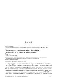 Черногрудая красношейка Luscinia pectoralis в Западном Тянь-Шане