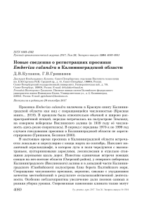 Новые сведения о регистрациях просянки Emberiza calandra в Калининградской области
