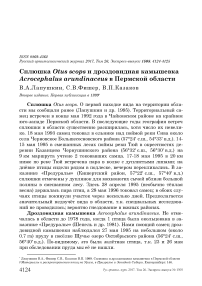 Сплюшка Otus scops и дроздовидная камышевка Acrocephalus arundinaceus в Пермской области