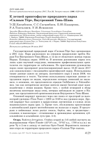 К летней орнитофауне природного парка "Салкын тёр", Внутренний Тянь-Шань