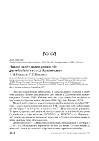 Новый залёт мандаринки Aix galericulata в город Архангельск