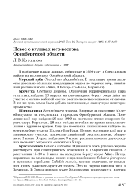 Новое о куликах юго-востока Оренбургской области