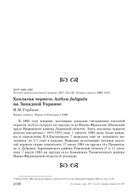 Хохлатая чернеть Aythya fuligula  на Западной Украине