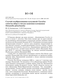 Случай подбрасывания кукушкой Cuculus canorus яйца в гнездо каменки-плешанки Oenanthe pleschanka