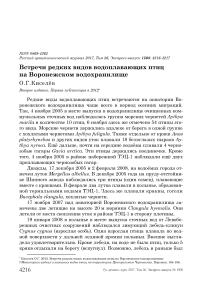 Встречи редких видов водоплавающих птиц на Воронежском водохранилище