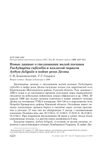 Новые данные о гнездовании малой поганки Tachybaptus ruficollis и хохлатой чернети Aythya fuligula в пойме реки Десны