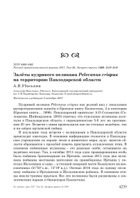 Залёты кудрявого пеликана Pelecanus crispus на территорию Павлодарской области