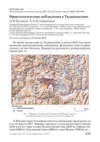 Орнитологические наблюдения в Таджикистане