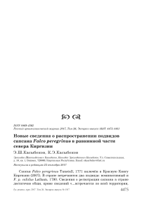 Новые сведения о распространении подвидов сапсана Falco peregrinus в равнинной части севера Киргизии