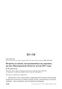 Встречи куликов, окольцованных на зимовке, на юге Магаданской области летом 2017 года