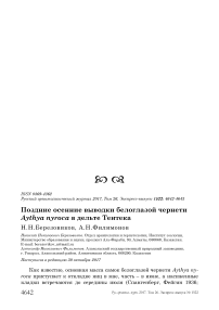 Поздние осенние выводки белоглазой чернети Aythya nyroca в дельте Тентека