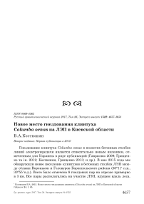 Новое место гнездования клинтуха Columba oenas на ЛЭП в Киевской области