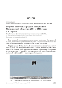 Встречи некоторых редких птиц на юге Магаданской области в 2014 и 2015 годах