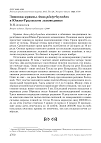 Зимовка кряквы Anas platyrhynchos в Южно-Уральском заповеднике