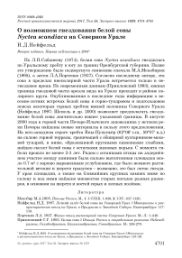 О возможном гнездовании белой совы Nyctea scandiaca на Северном Урале