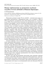 Новые наблюдения за японским зелёным голубем Treron sieboldii в Южном Приморье